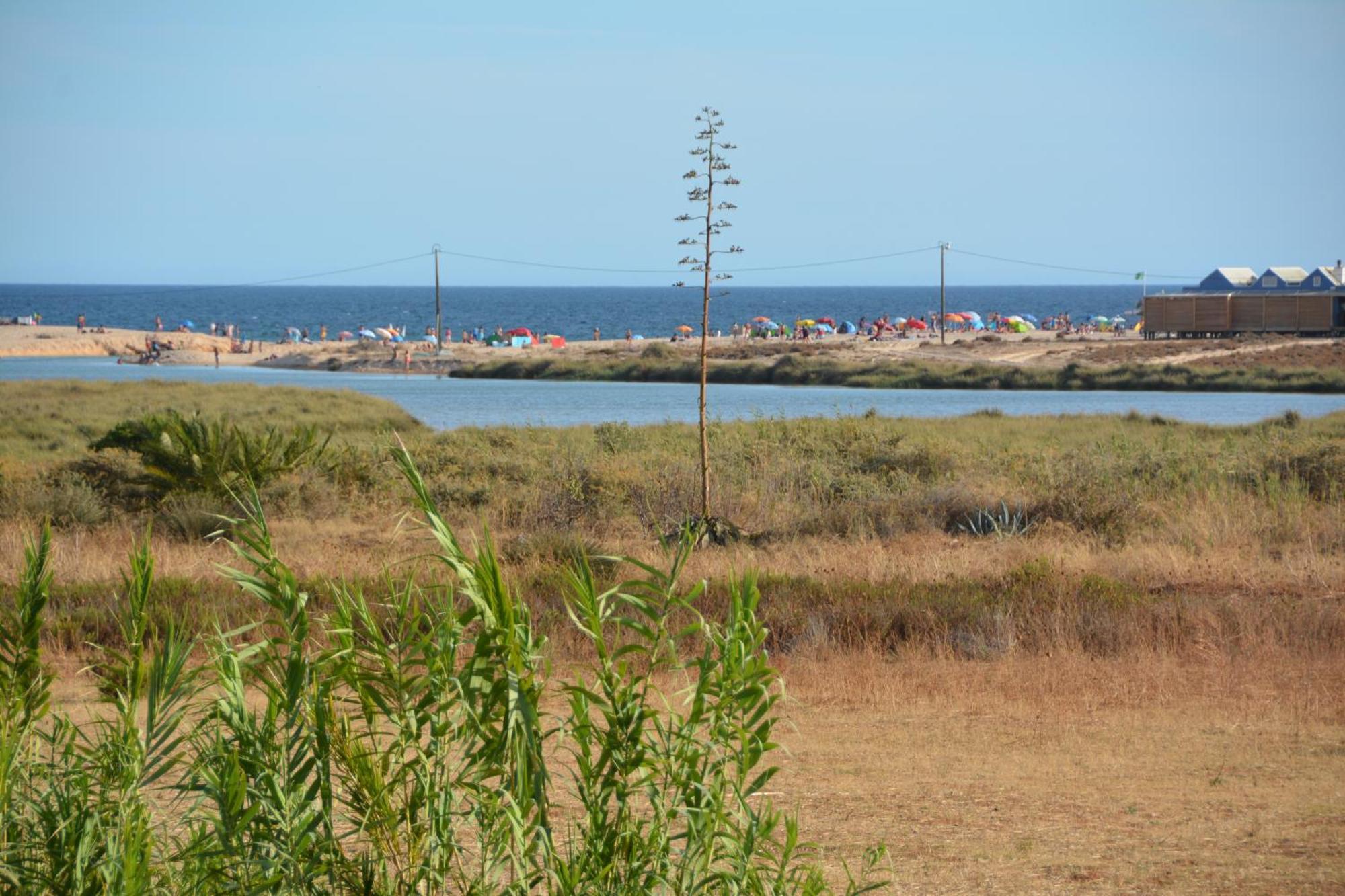 Praia Dria Armacao de Pera Exterior foto